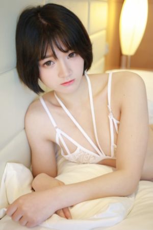 伏击1—49集免费观看_全集在线观看