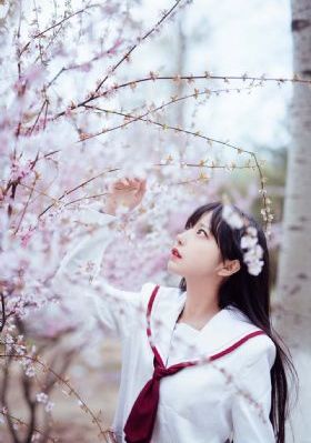 男女激情免费_剧情片电影全集观看